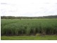 Gin Gin QLD 4671