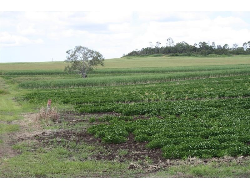 Gin Gin QLD 4671