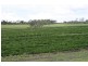 Gin Gin QLD 4671