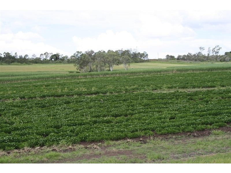 Gin Gin QLD 4671