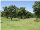 Bullyard QLD 4671