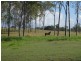 South Kolan QLD 4670