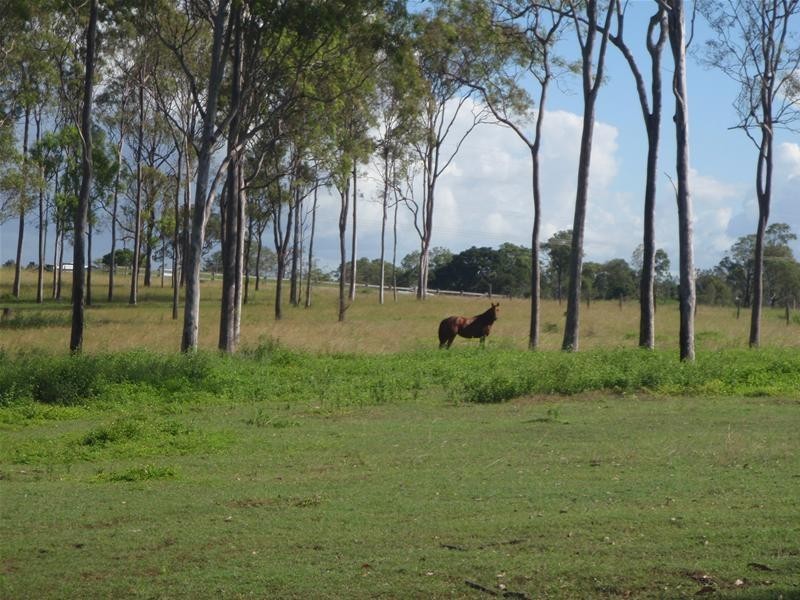 South Kolan QLD 4670