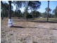 Sharon QLD 4670