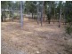 South Bingera QLD 4670
