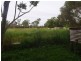 Sharon QLD 4670