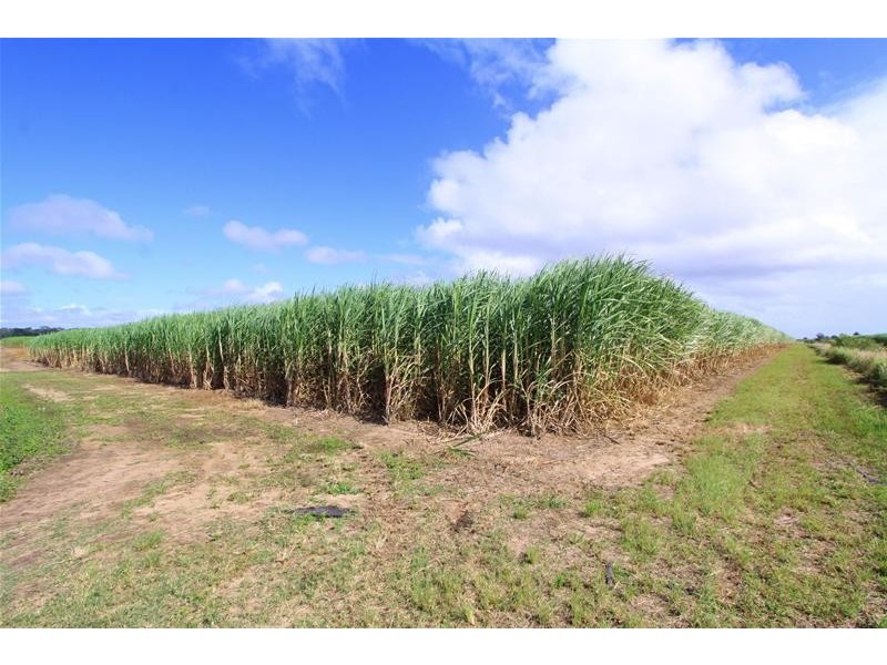 Moore Park Beach QLD 4670