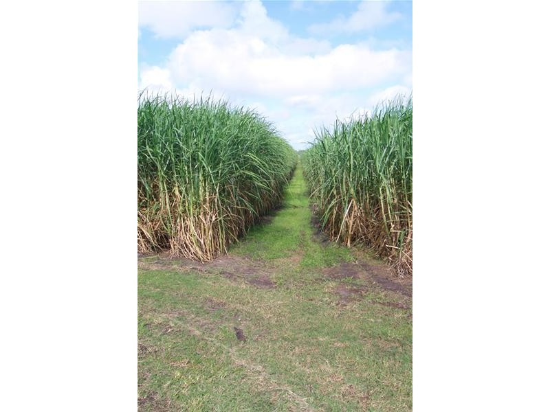 Moore Park Beach QLD 4670