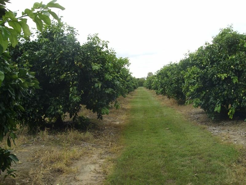 Childers QLD 4660