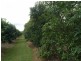 Childers QLD 4660