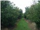 Childers QLD 4660