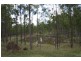 Pine Creek QLD 4670