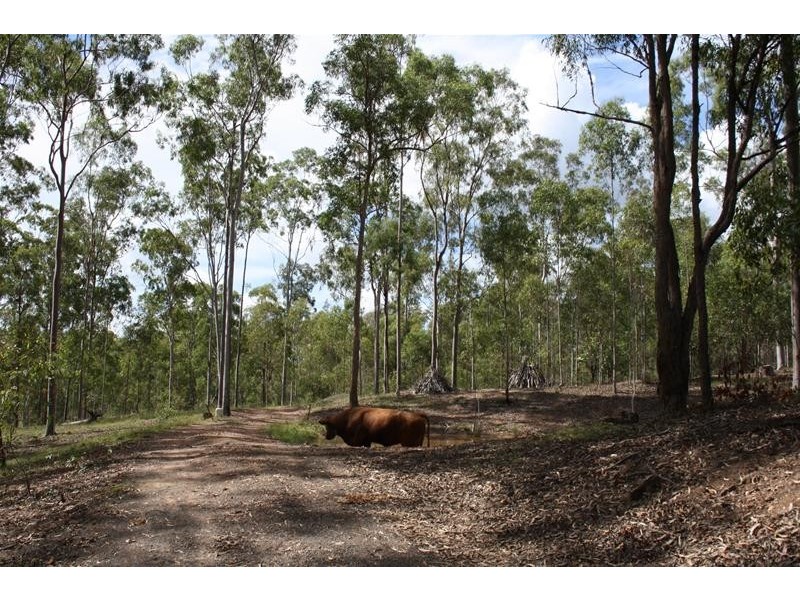 Pine Creek QLD 4670