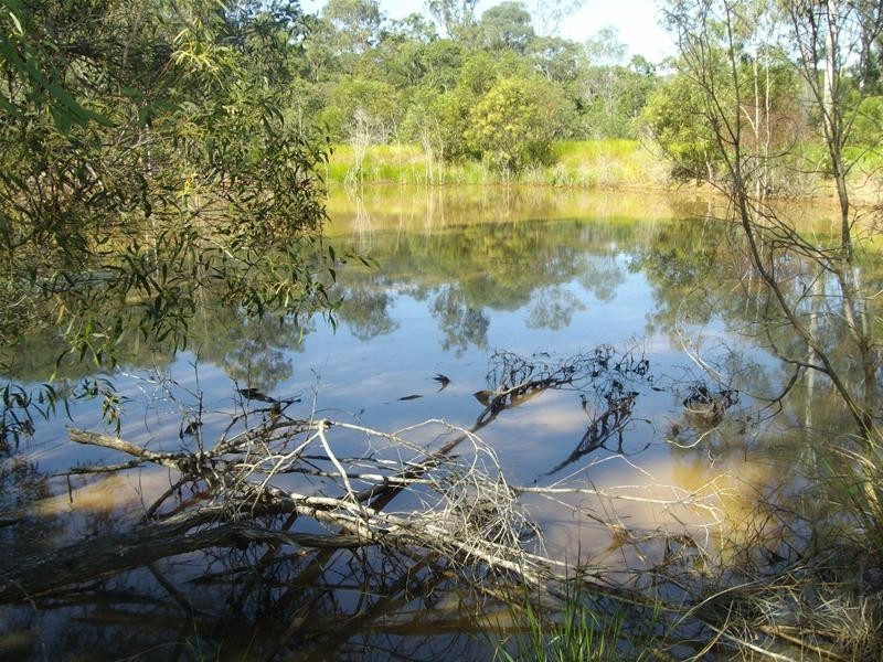 Avondale QLD 4670
