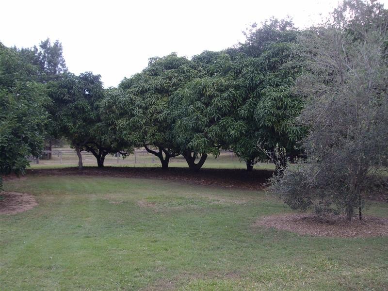 Meadowvale QLD 4670