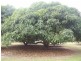 Meadowvale QLD 4670