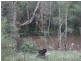 South Kolan QLD 4670
