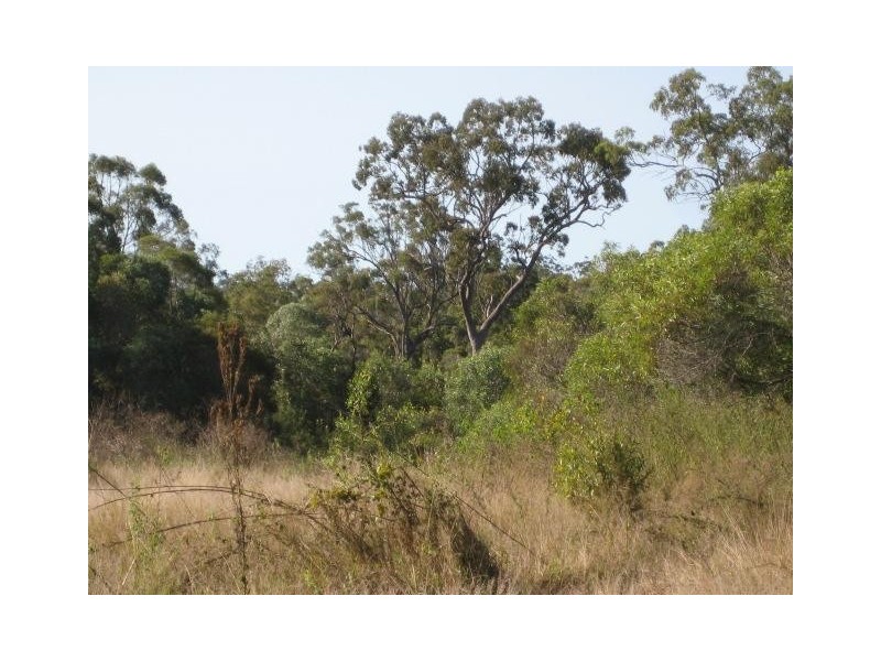 South Kolan QLD 4670