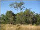 South Kolan QLD 4670