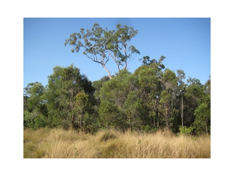 South Kolan QLD 4670