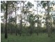 South Kolan QLD 4670