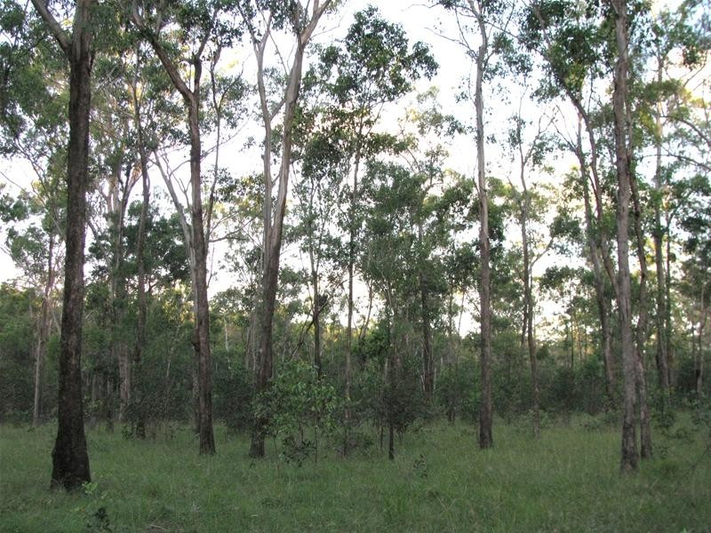 South Kolan QLD 4670