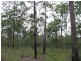 South Kolan QLD 4670