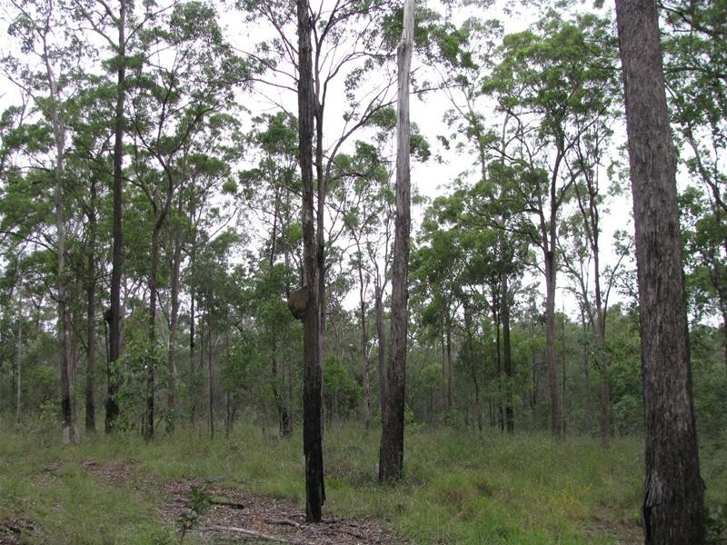South Kolan QLD 4670