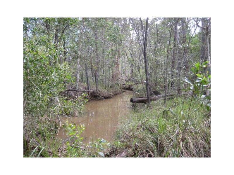 South Kolan QLD 4670