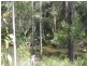 South Kolan QLD 4670