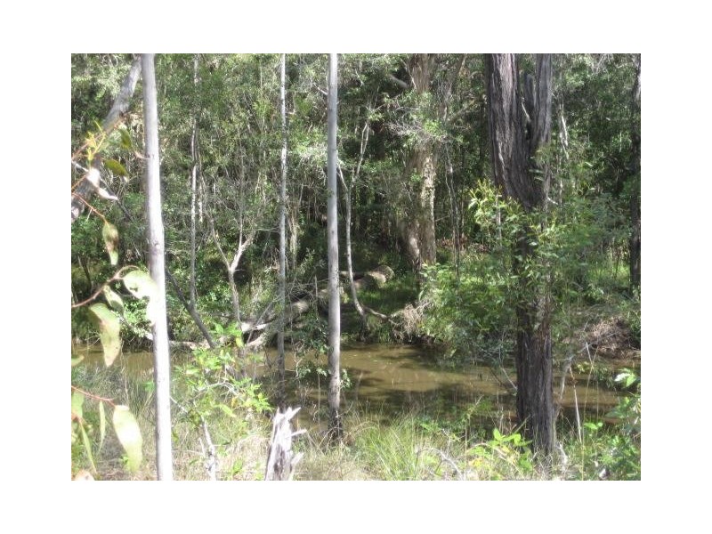 South Kolan QLD 4670