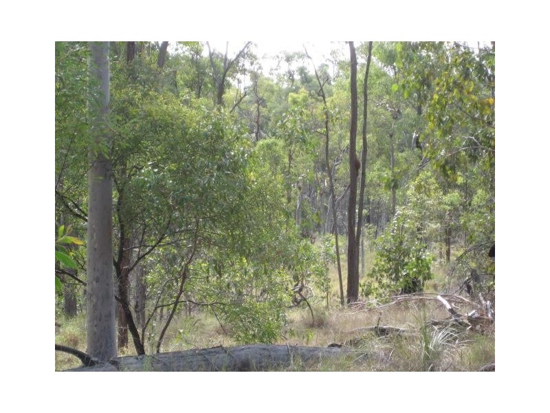 South Kolan QLD 4670