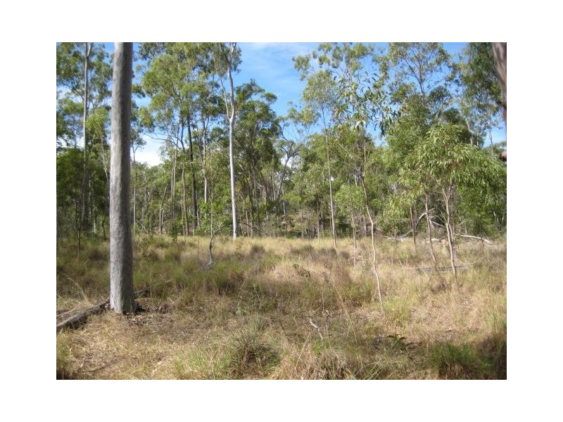 South Kolan QLD 4670