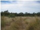 South Kolan QLD 4670