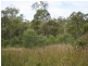 South Kolan QLD 4670
