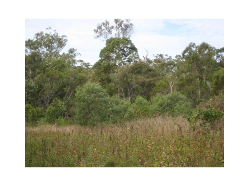 South Kolan QLD 4670