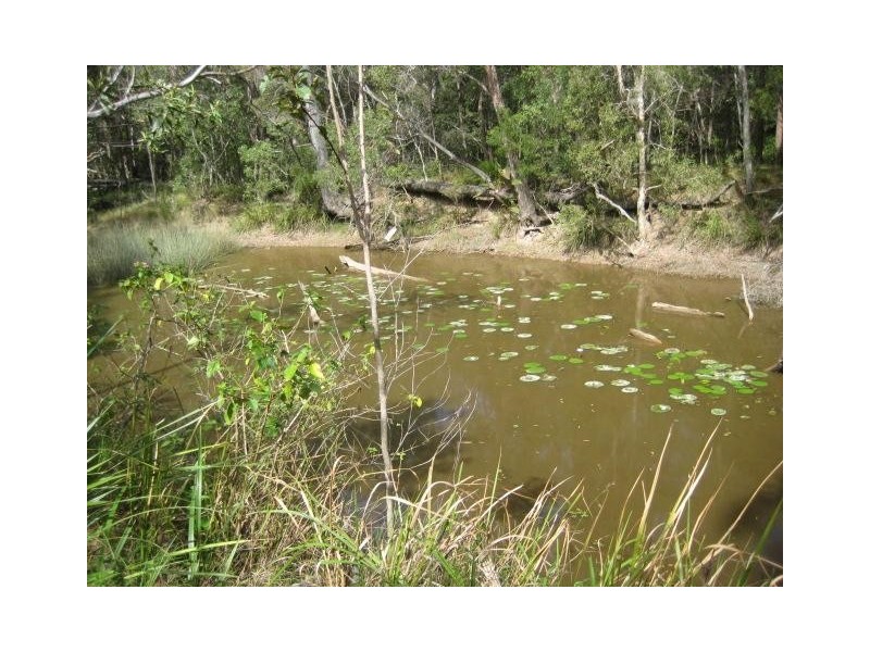 South Kolan QLD 4670