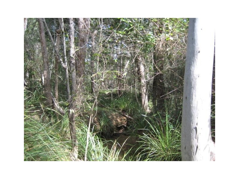 South Kolan QLD 4670