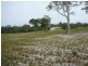 Goodwood QLD 4660