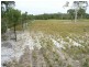 Goodwood QLD 4660