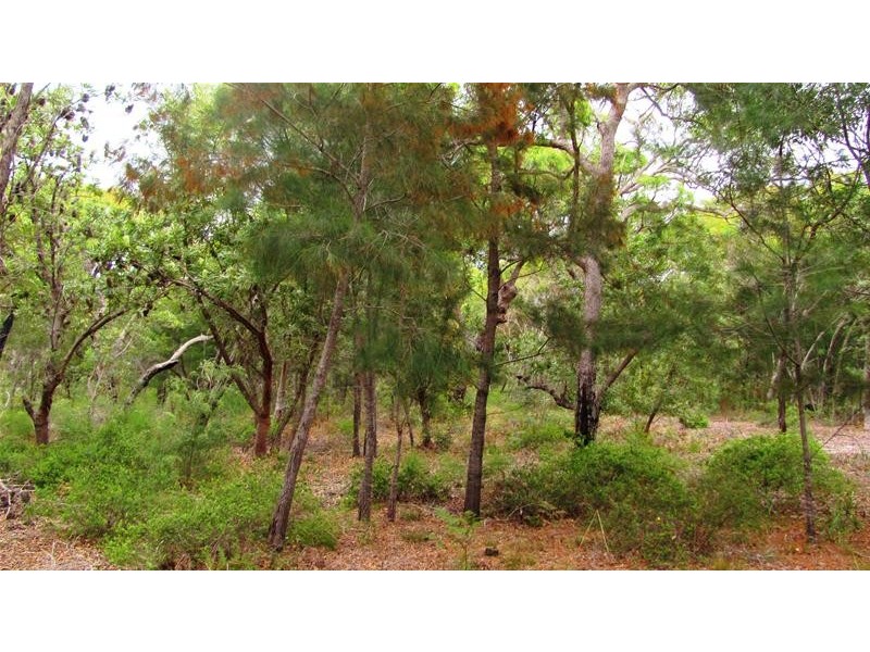 Agnes Water QLD 4677