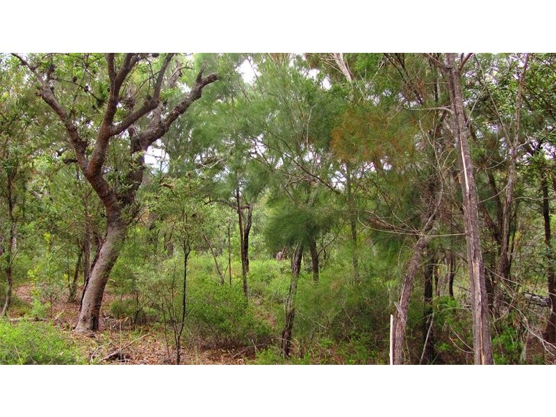 Agnes Water QLD 4677