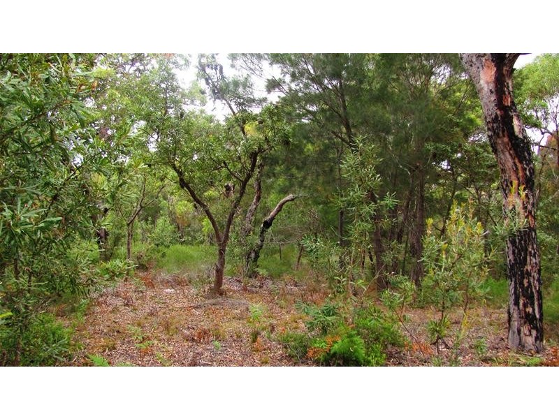 Agnes Water QLD 4677