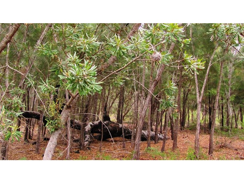 Agnes Water QLD 4677
