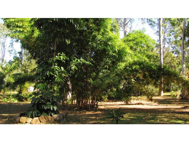 Baffle Creek QLD 4674