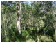Euleilah QLD 4674
