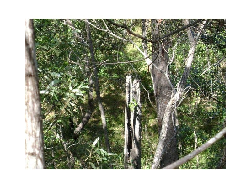 Euleilah QLD 4674