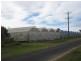 Calavos QLD 4670