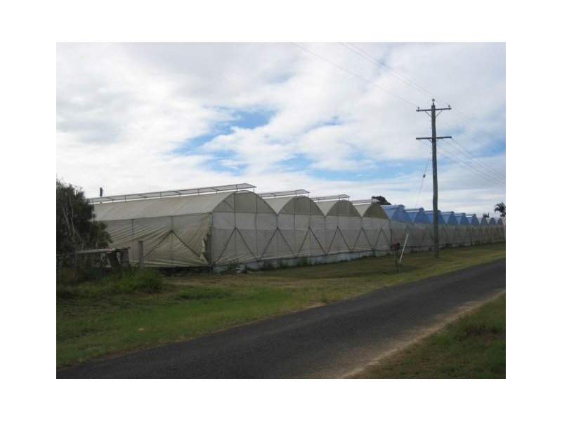 Calavos QLD 4670