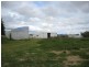 Calavos QLD 4670